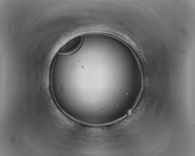 X0000112181512200908071315