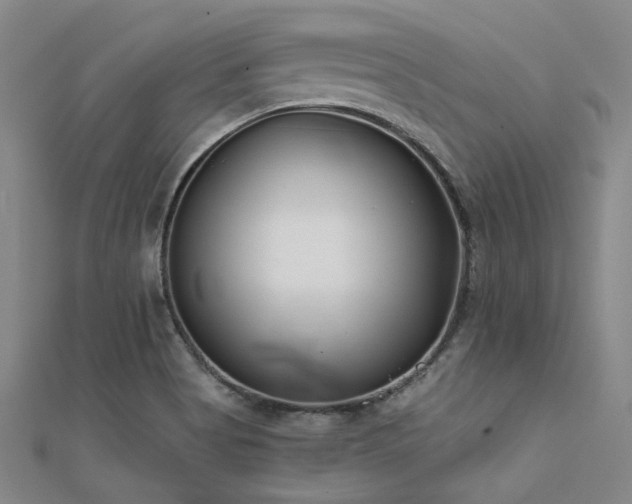 X0000112181513200908071315