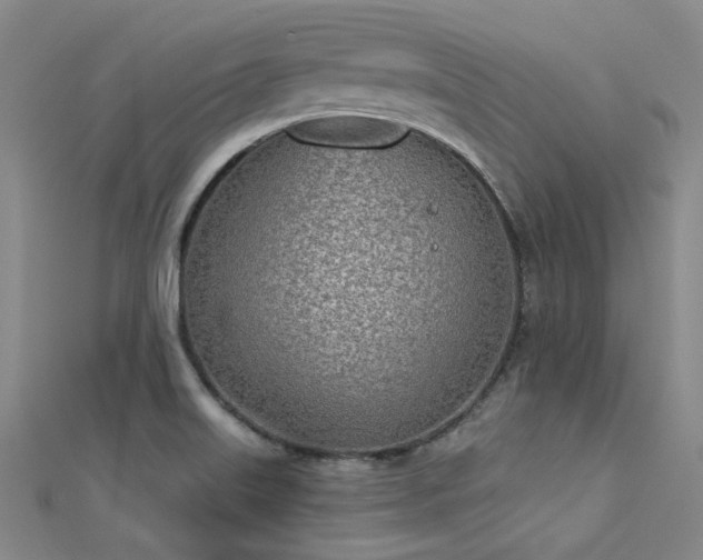 X0000112181515200908071315