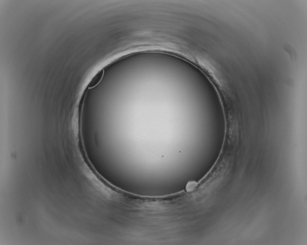 X0000112181516200908071315