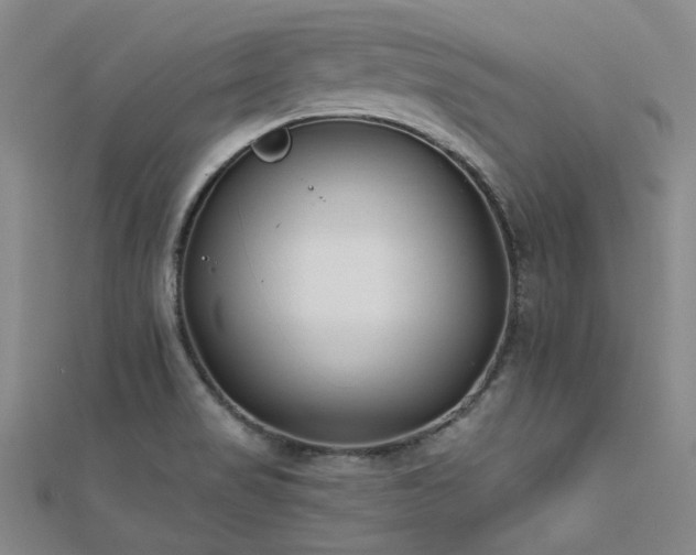 X0000112181517200908071315