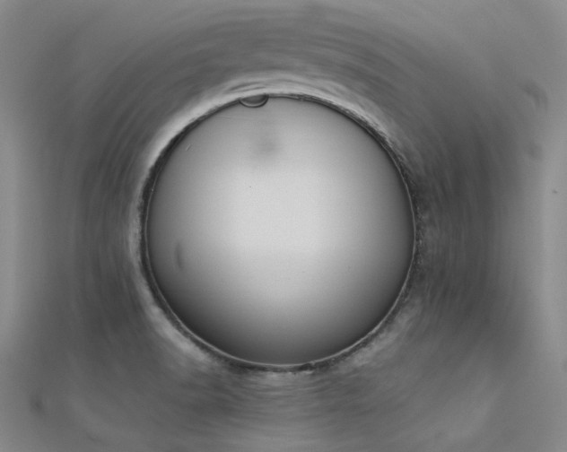 X0000112181518200908071315