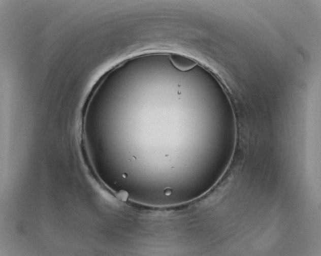 X0000112181519200908071315