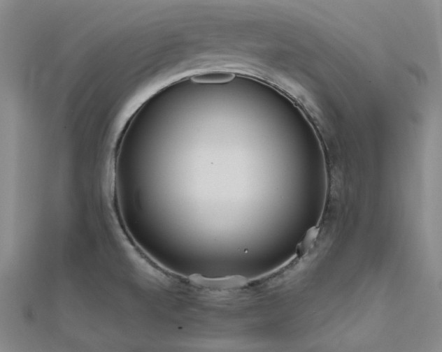 X0000112181520200908071315