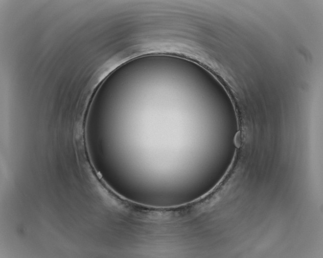 X0000112181521200908071315