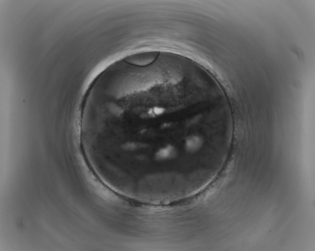 X0000112181522200908071316