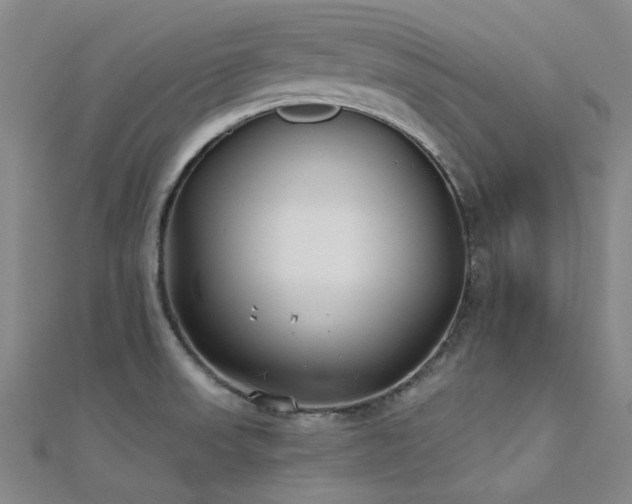 X0000112181523200908071316