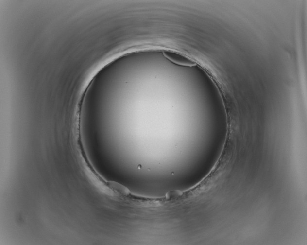 X0000112181524200908071316