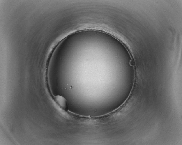 X0000112181525200908071316