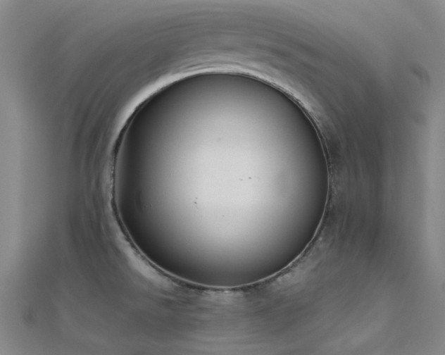 X0000112181526200908071316