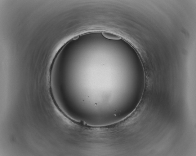 X0000112181527200908071316