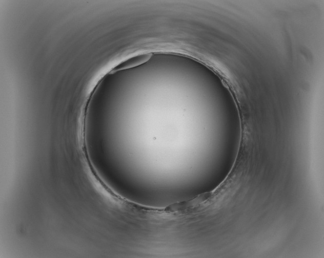 X0000112181528200908071316