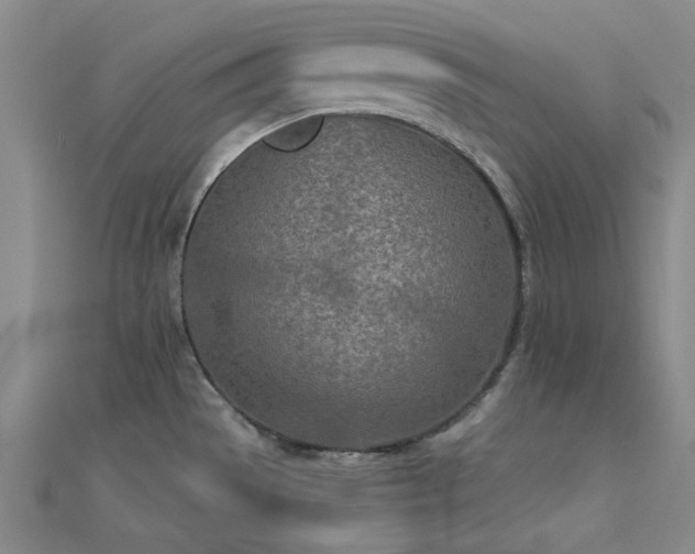 X0000112181529200908071316