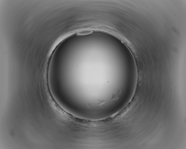 X0000112181530200908071316