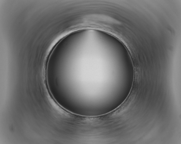 X0000112181531200908071316