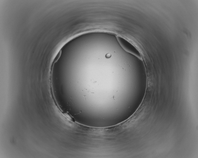 X0000112181532200908071316