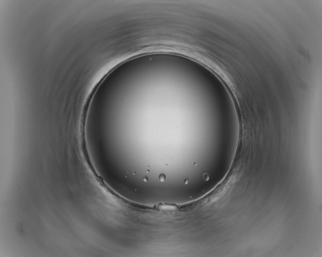 X0000112181533200908071316