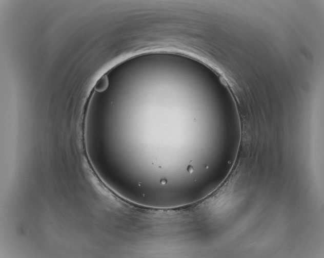 X0000112181534200908071316