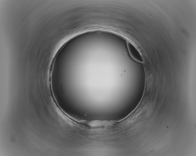 X0000112181535200908071316