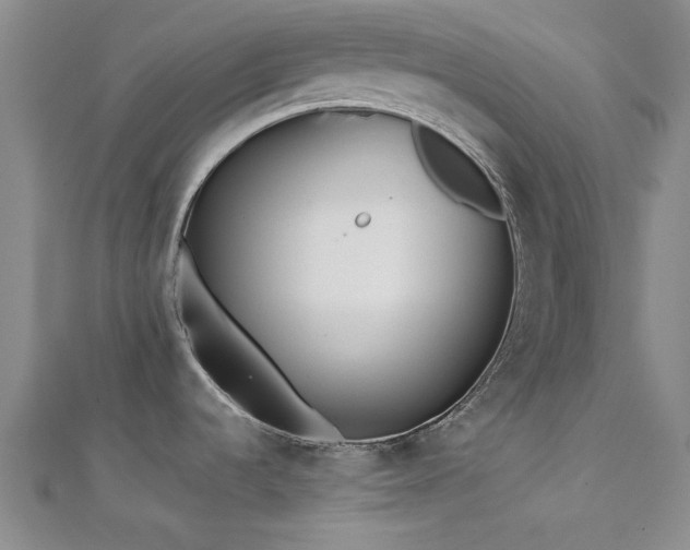 X0000112181536200908071316