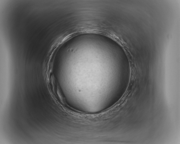 X0000112180002200908141335