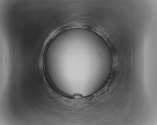 X0000112180004200908141335