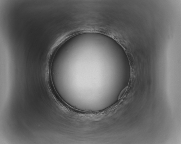 X0000112180005200908141335