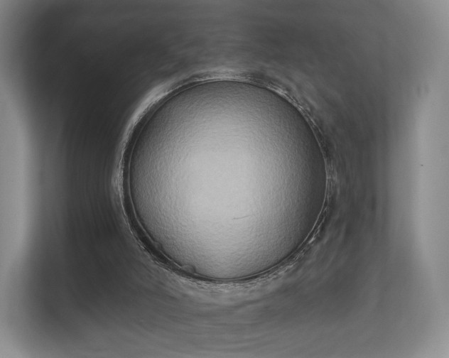 X0000112180006200908141335