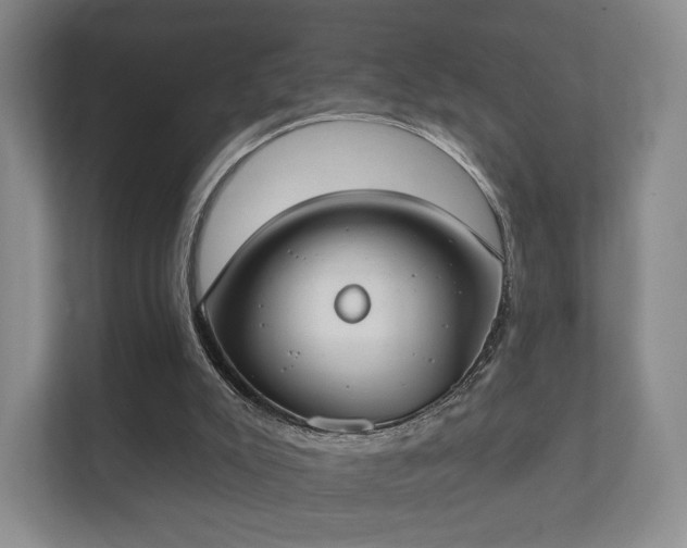 X0000112180007200908141335