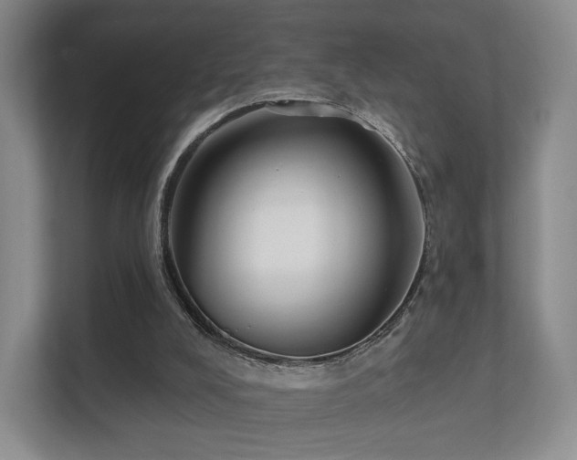 X0000112180008200908141335