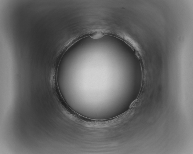 X0000112180009200908141335