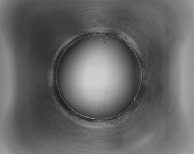 X0000112180012200908141335