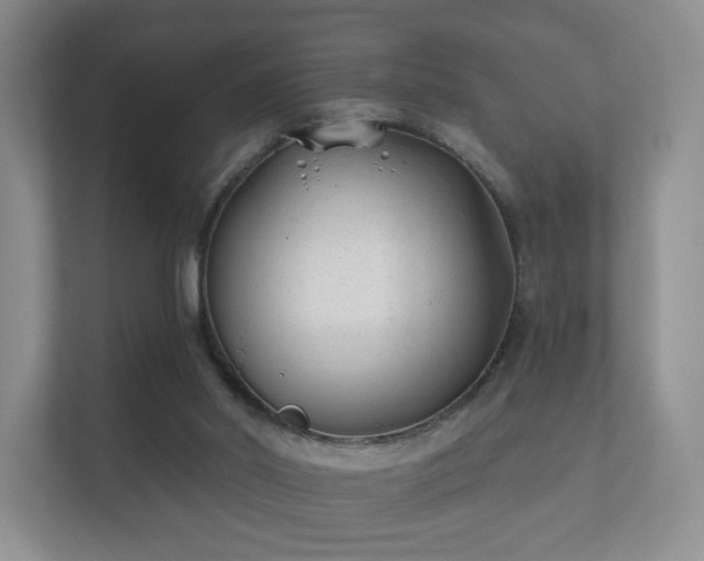 X0000112180014200908141335