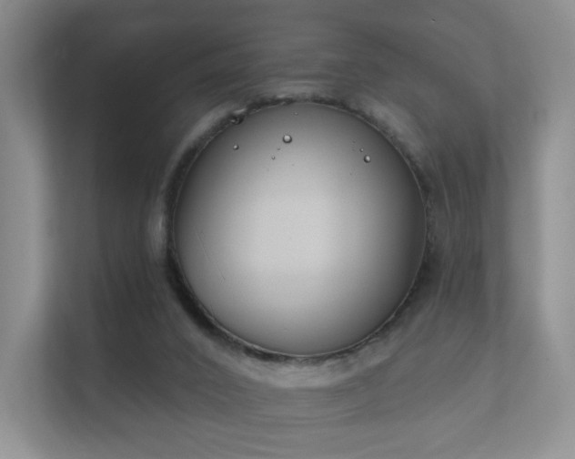 X0000112180016200908141335