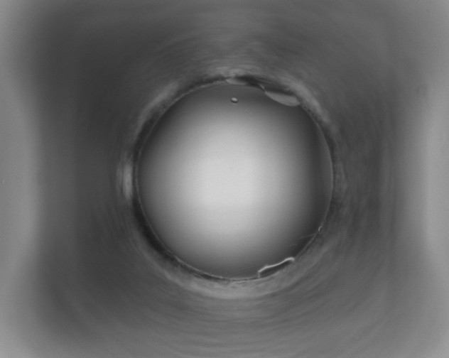 X0000112180019200908141335