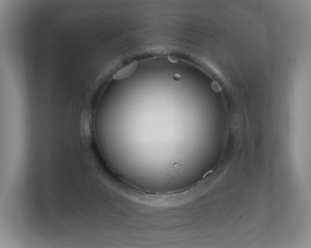 X0000112180023200908141335