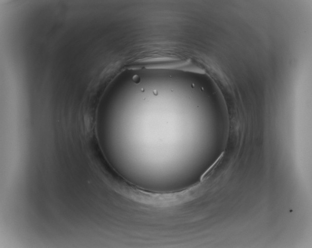 X0000112180031200908141334