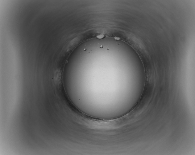 X0000112180036200908141334