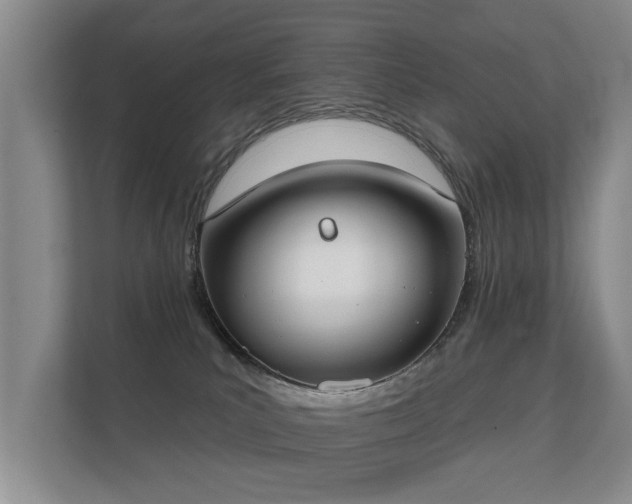 X0000112180039200908141334