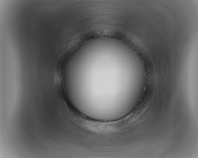 X0000112180040200908141334