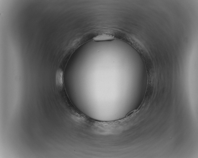 X0000112180041200908141334