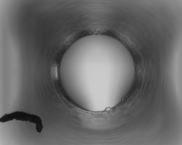 X0000112180042200908141334