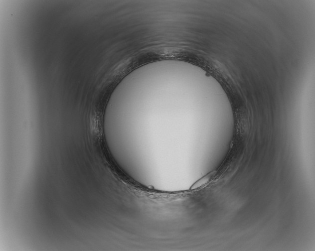 X0000112180044200908141334