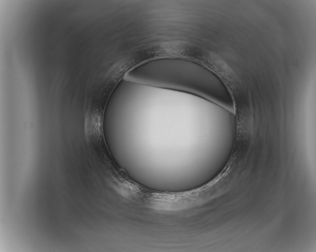 X0000112180045200908141334