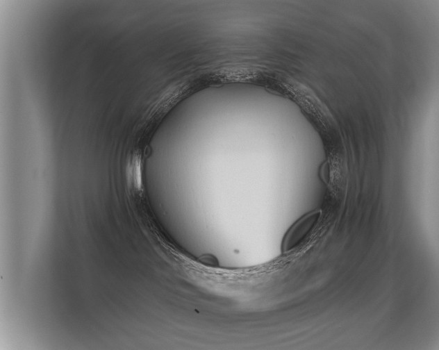 X0000112180046200908141334