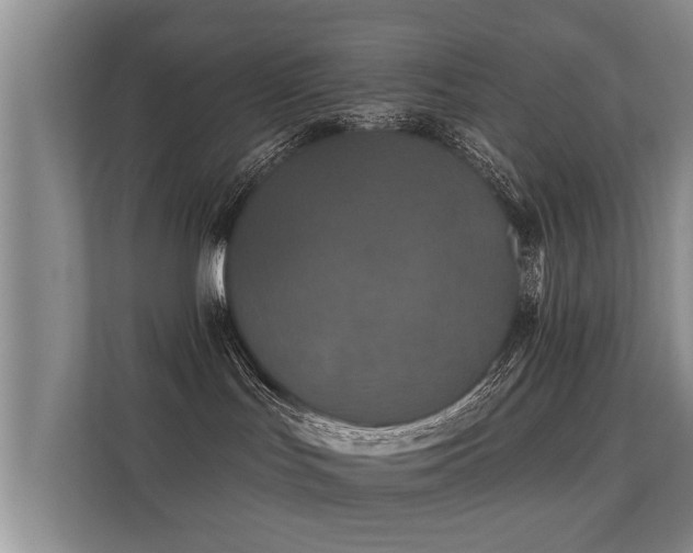 X0000112180047200908141334