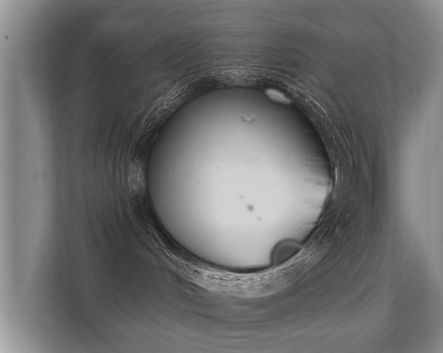 X0000112180048200908141334