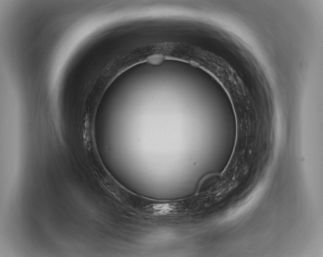 X0000112180050200908141334