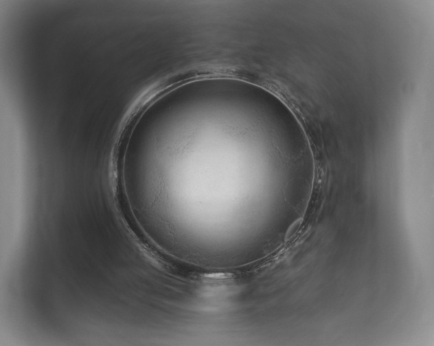 X0000112180053200908141334