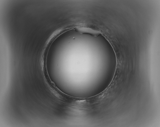 X0000112180054200908141334